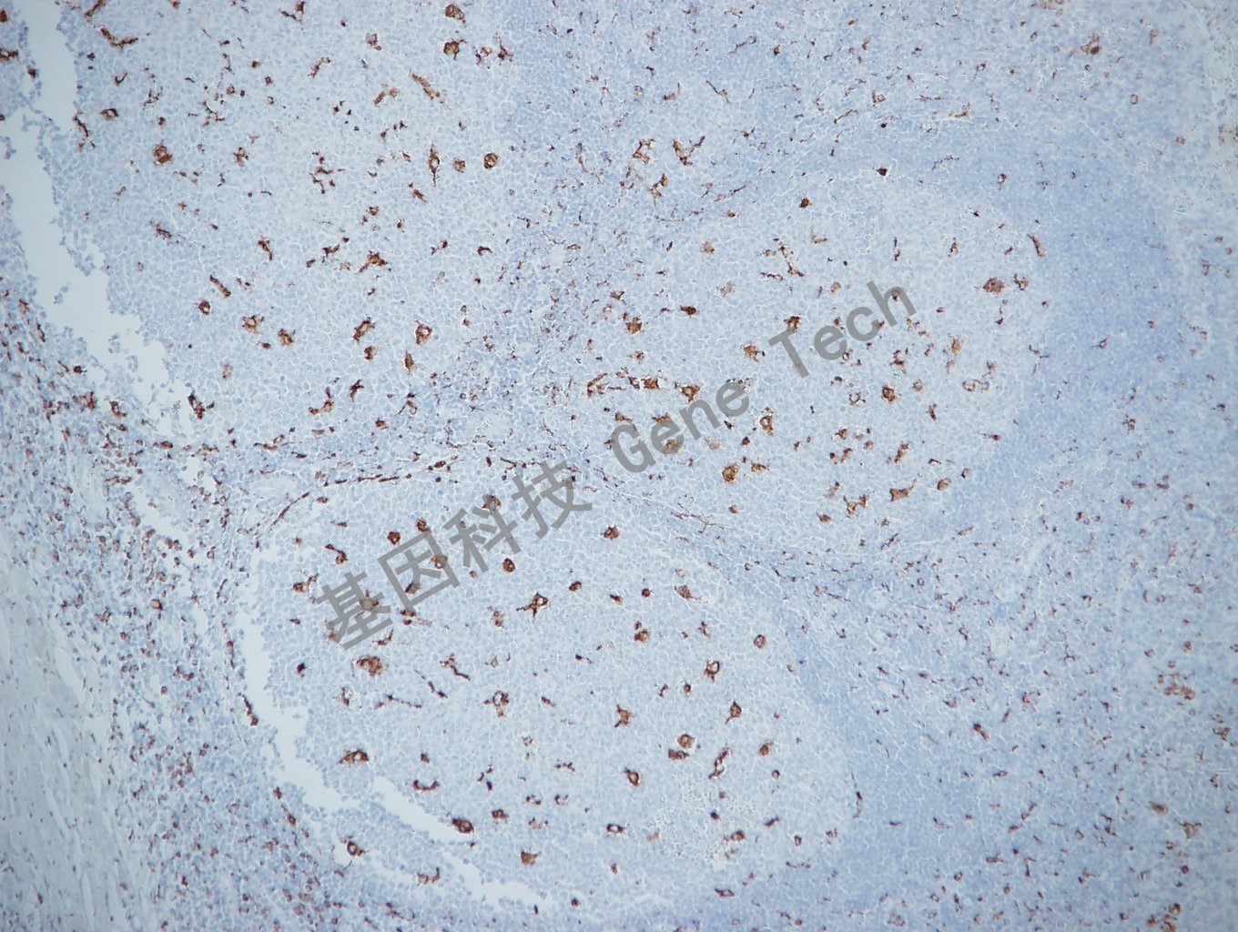 1617858697330134.jpg