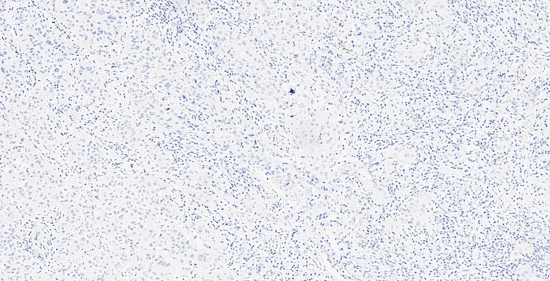 1750660133150406.png